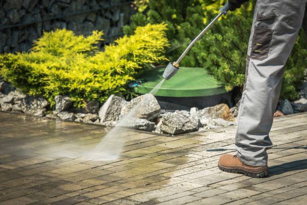 Best Warehouse Cleaning  in Guntersville, AL